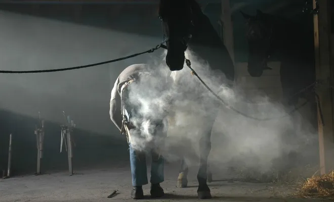 Pose de fer à cheval, Hirson, MONSIEUR MATEO ROPPE